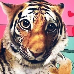 Meet your Posher, Chanly